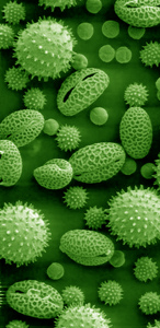 pollen.jpg
