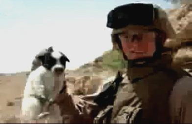 iraq-puppy