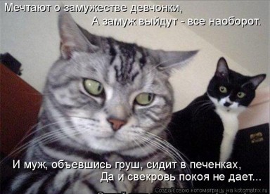 Commissar Markov has long been a loyal party member, but I fear his growing influence in state policy.  Perhaps it is time to cash in a favor from my friends at the Kremlin.