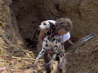 alexdalmatian.jpg alexdalmatian.jpg