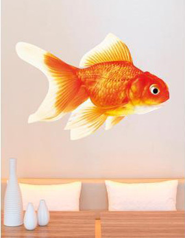 goldfishwallsticker.jpg
