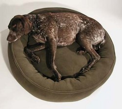 nestdogbed.jpg