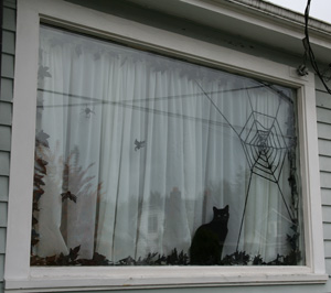 ravenhalloweenwindow.jpg