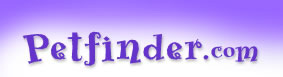 petfinder.jpg