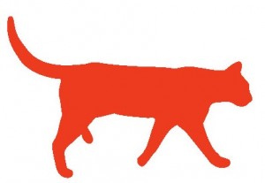coralcat
