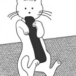 cattoywrestlesausage