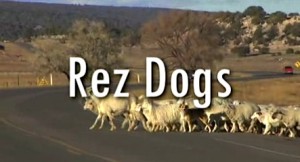rezdogsdoc