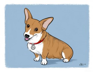 LiliChinCorgi