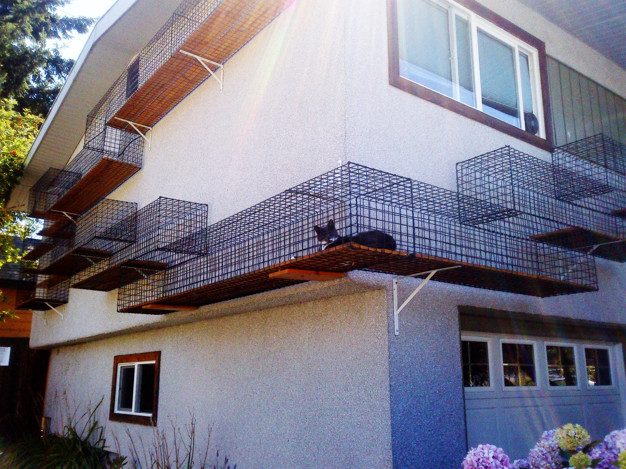 elevatedcatenclosure copy